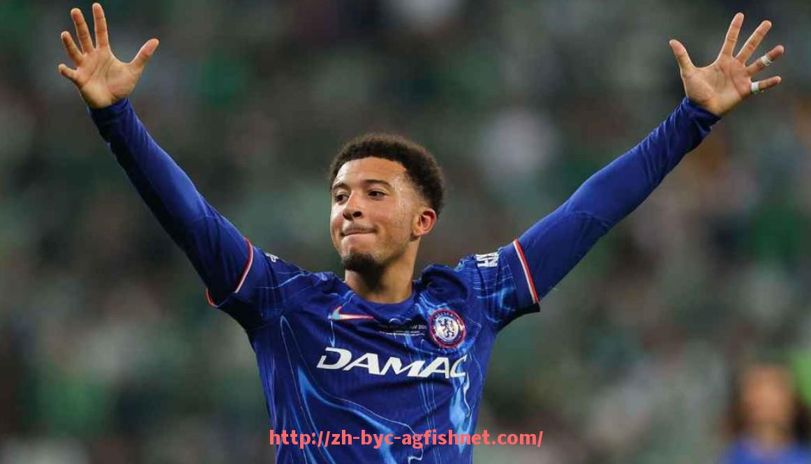 AG捕鱼王官网-2017年英超球衣品牌分布及市场占有率